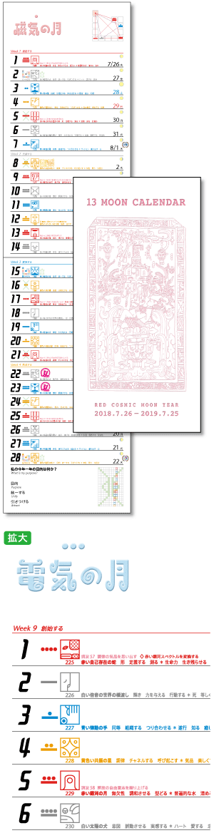 13の月の暦 タテ